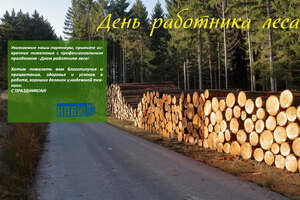 Поздравляем партнеров-лесозаготовителей с Днем работника леса!