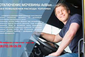 Отключение мочевины AdBlue: как и зачем.