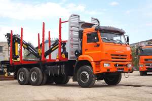 КАМАЗ 65111-3090-50