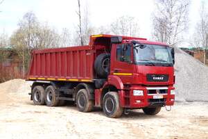 КАМАЗ 65201-001-49 ЛЮКС