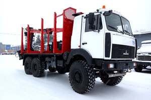 МАЗ 6317F9-565-000